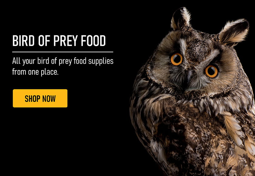 Birds of Prey