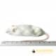 Jumbo Mouse - (+30gm) - pack of 10