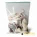 Small Weaner Rat - (20-60gm) - pack of 5