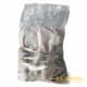 Small Rats - (90-150gm) - pack of 5