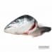 Salmon Heads - Bulk Box - (8 x 2 pieces/pack)
