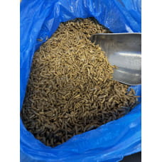 Black Soldier Fly Larvae IQF - 10kg Box