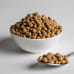 Wisbroek - Parrot Nut Blend Daily Large - 10kg